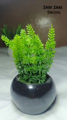 Vibrant Green Faux Asparagus Fern in Black Ceramic Planter